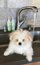 Load image into Gallery viewer, Calming™ Puppy + Dog Conditioner