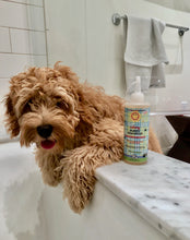 Load image into Gallery viewer, Calming™ Puppy + Dog Wash