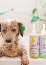 Load image into Gallery viewer, (No Fragrance) Super Sensitive™ Puppy + Dog + Kitty Wash & Conditioner Set