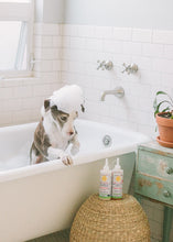Load image into Gallery viewer, (No Fragrance) Super Sensitive™ Puppy + Dog + Kitty Conditioner