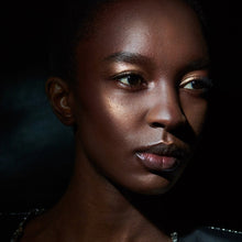 Load image into Gallery viewer, Highlighter: Extra/Ordinaire Set | 27 ROSIERS