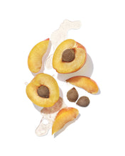 Load image into Gallery viewer, Mekabu Hydrating Shampoo 10 oz | MASAMI - Pothos Beauty