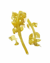 Load image into Gallery viewer, Mekabu Hydrating Shine Serum 2 oz | MASAMI - Pothos Beauty