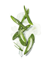 Load image into Gallery viewer, Mekabu Hydrating Styling Cream 4 oz | MASAMI - Pothos Beauty