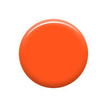 Load image into Gallery viewer, The "OC" - Pothos Beauty