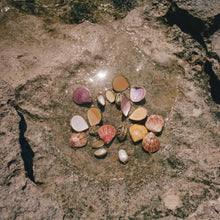 Load image into Gallery viewer, Geranium &amp; Vetiver Perfume
