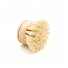 Load image into Gallery viewer, Casa Agave Dishwashing Hand Brush | VitaParfum - Pothos Beauty
