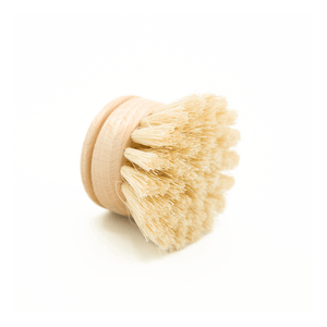 Casa Agave Dishwashing Hand Brush | VitaParfum - Pothos Beauty