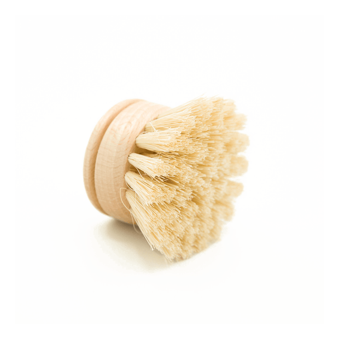 Casa Agave Dishwashing Hand Brush | VitaParfum - Pothos Beauty