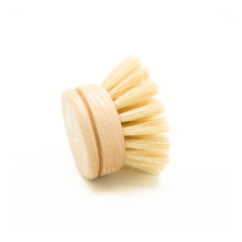 Load image into Gallery viewer, Casa Agave Dishwashing Hand Brush | VitaParfum - Pothos Beauty
