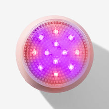 Load image into Gallery viewer, LEDA LED Sonic Brush | Bundle. by Vanity Planet
