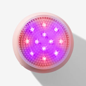 LEDA LED Sonic Brush | Bundle. by Vanity Planet