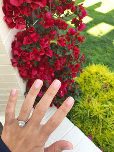 LOVE. - 7 Free + Vegan Nail Polish - Pothos Beauty